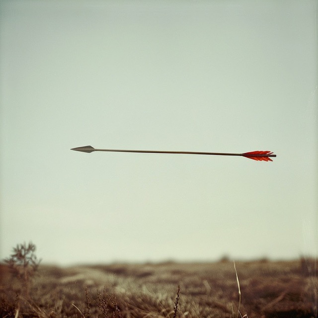 Fictional Photography 2024-07-09