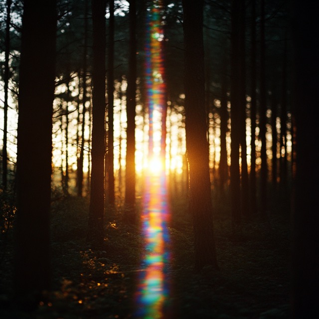 Fictional Photography 2024-09-11