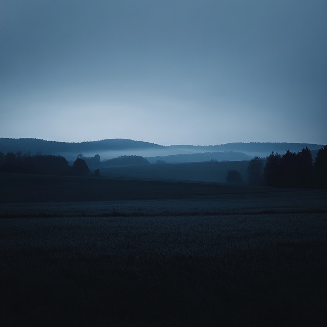 Fictional Photography 2024-09-23