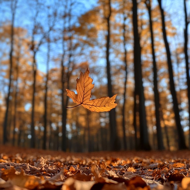 Fictional Photography 2024-10-11