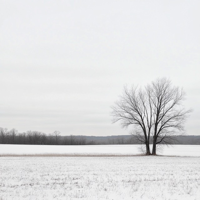 Fictional Photography 2025-02-08