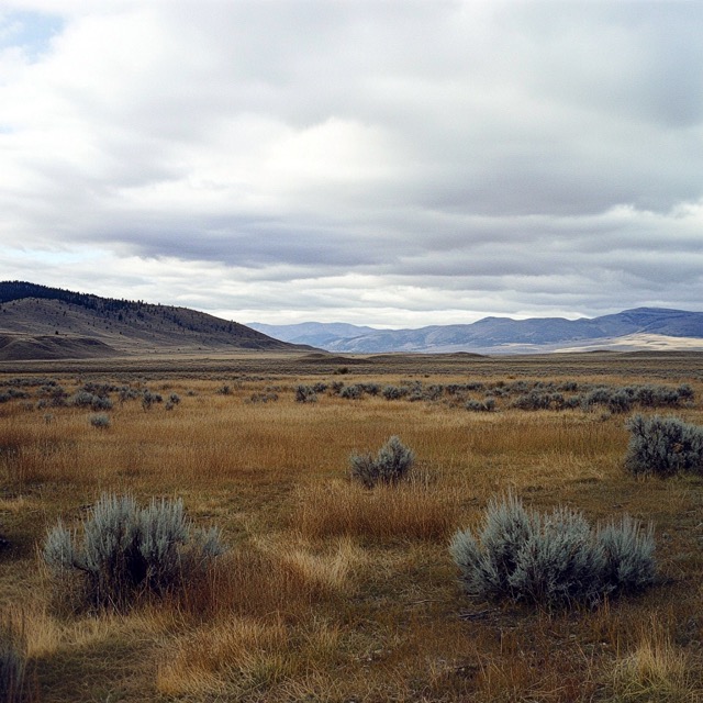 Fictional Photography 2025-02-12