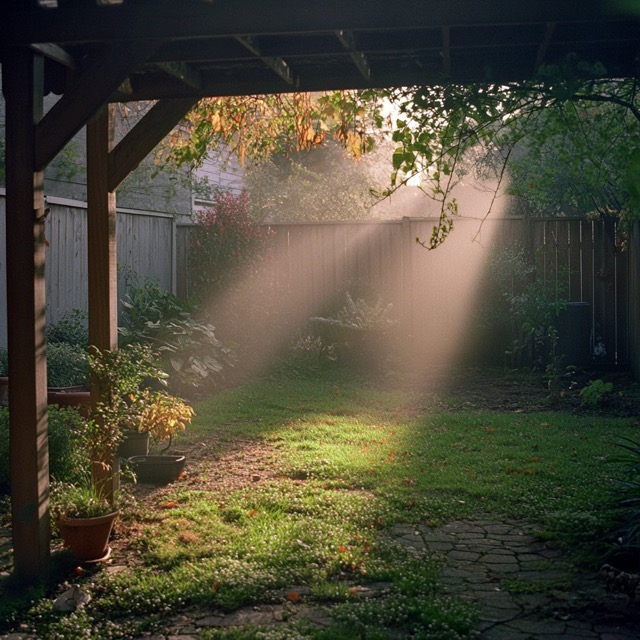 Fictional Photography 2025-03-03