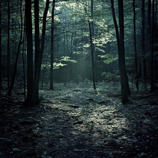 Fictional Photography 2025-03-13