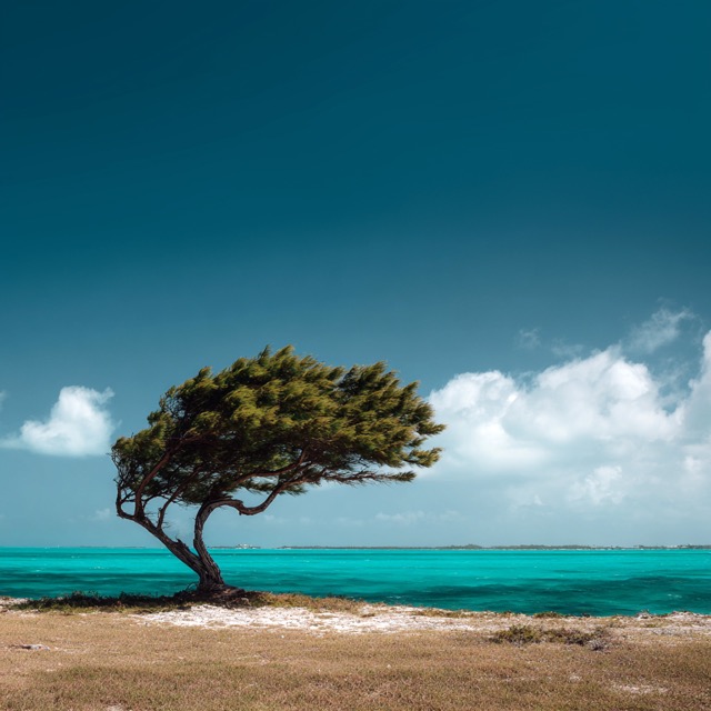 Fictional Photography 2025-07-03