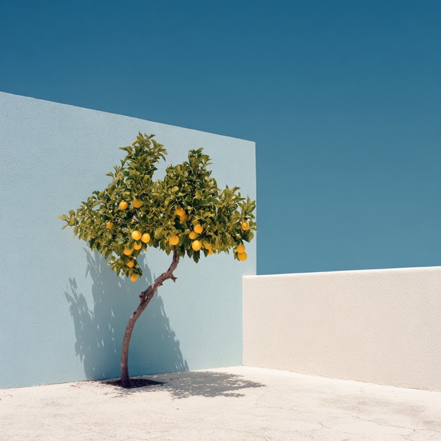 Fictional Photography 2025-07-11