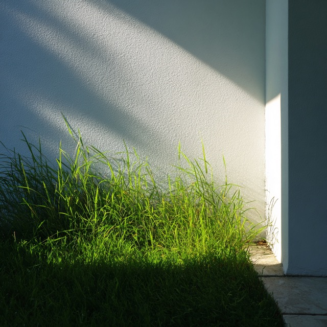 Fictional Photography 2025-07-12