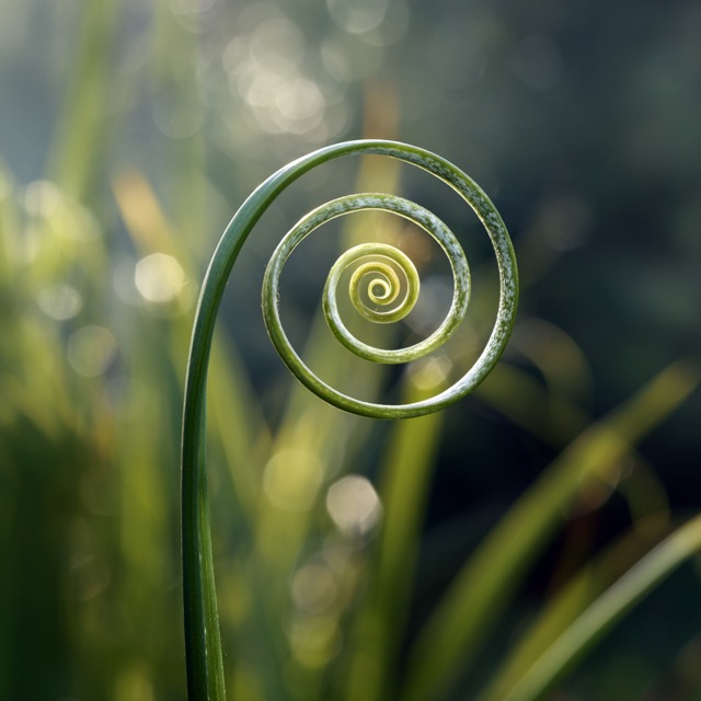 Fictional Photography 2025-07-25
