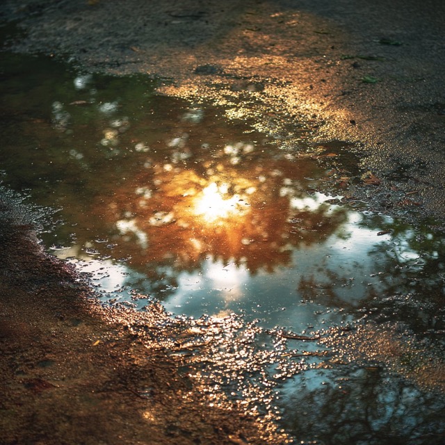 Fictional Photography 2025-07-30