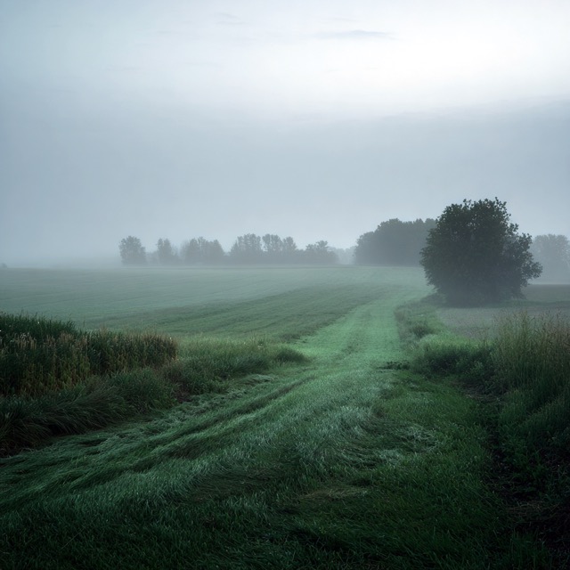 Fictional Photography 2025-09-08