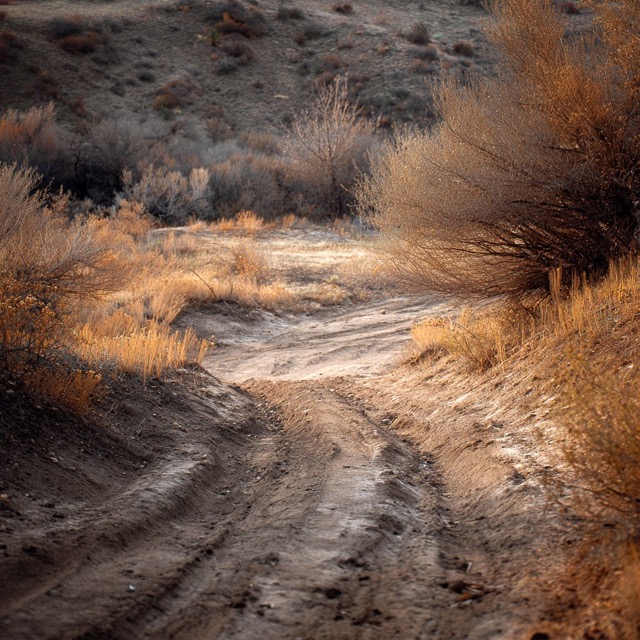 Fictional Photography 2025-09-21
