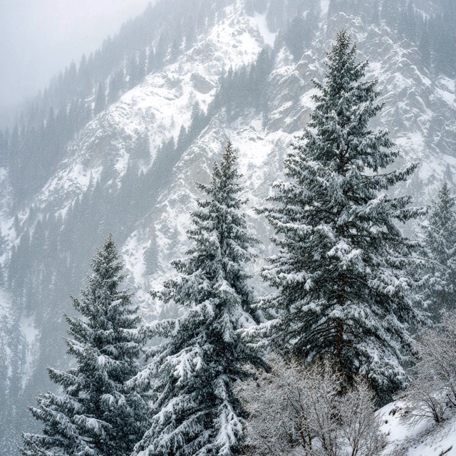Fictional Photography 2025-12-24