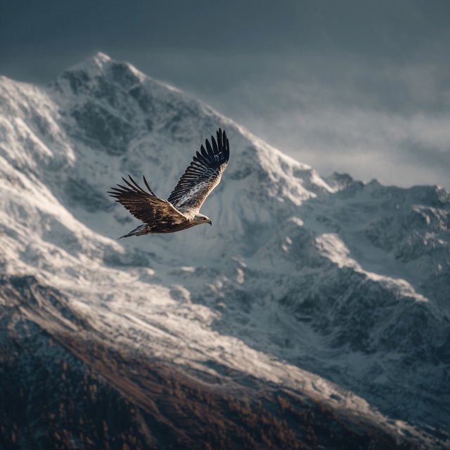 Fictional Photography 2026-01-25