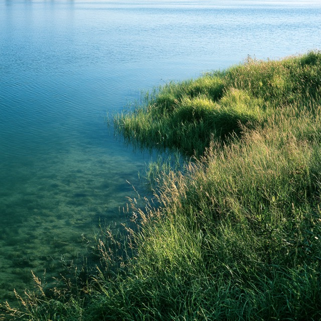 Fictional Photography 2026-08-12