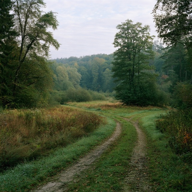 Fictional Photography 2026-10-23